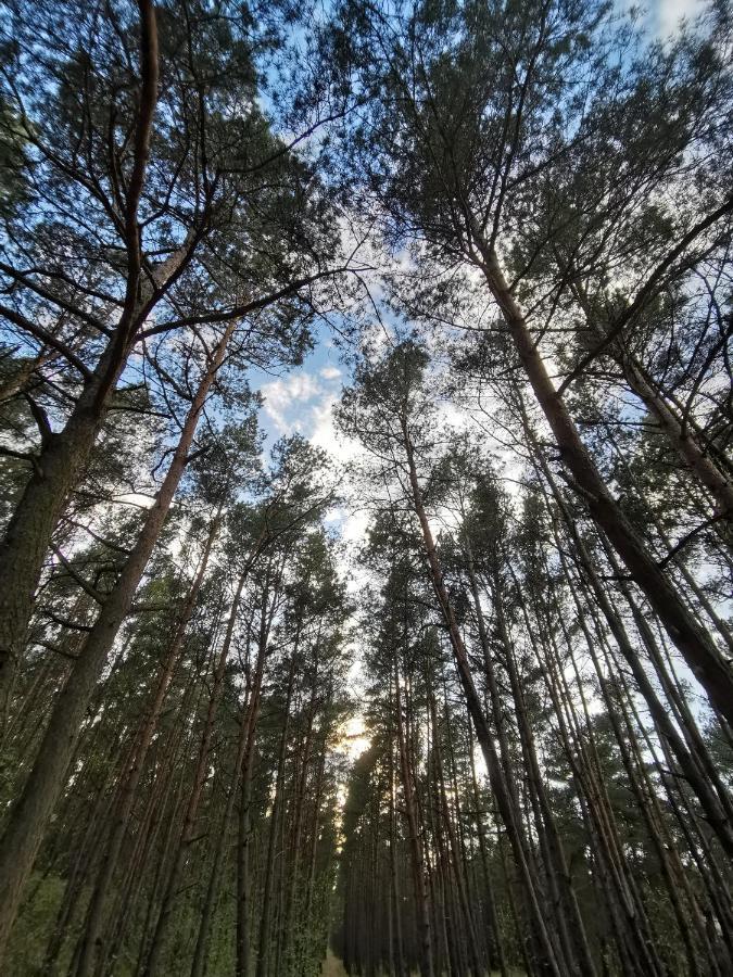M&K Apartament Slomkowe Kapelusze - Sobieszewo, Wyspa Sobieszewska Gdańsk Buitenkant foto